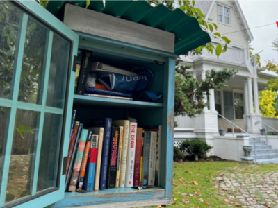 VOA: Casitas de libros, la magia de compartir literatura en&nbsp;EEUU